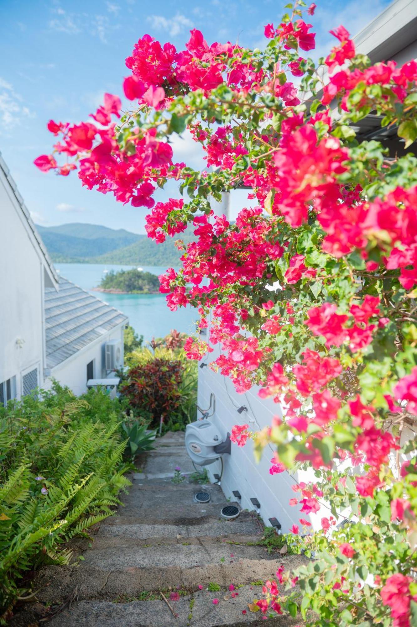 The Haven View - Airlie Beach Exteriör bild